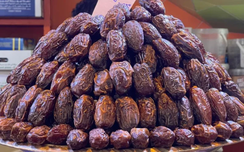 Maroc : la “reine des dattes” séduit l'Allemagne