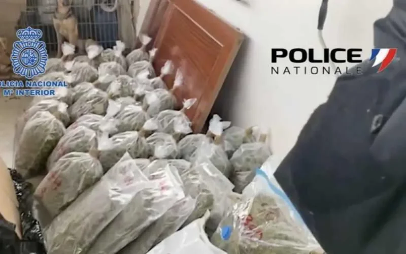 Espagne : démantèlement d'un réseau de trafic de drogues depuis le Maroc vers la France