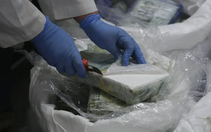 Tanger Med : saisie de haschich dissimulé dans des caisses de poisson à destination d'Algésiras