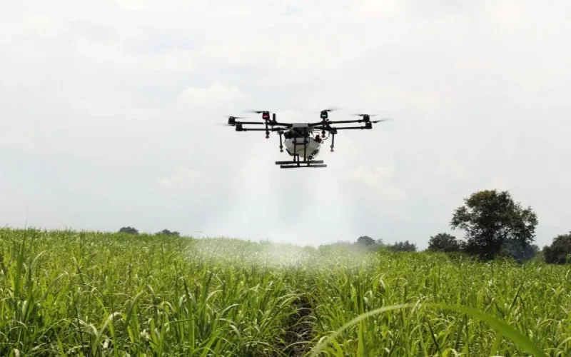 Maroc : des drones pour surveiller les champs de cannabis