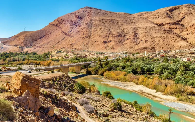 Au Maroc, le sol monte à 50 °C, la végétation fait chuter la température de plus de 5 °C