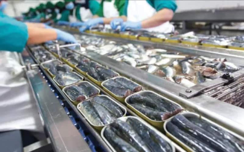 Sardines marocaines : l'Espagne revient frapper à la porte