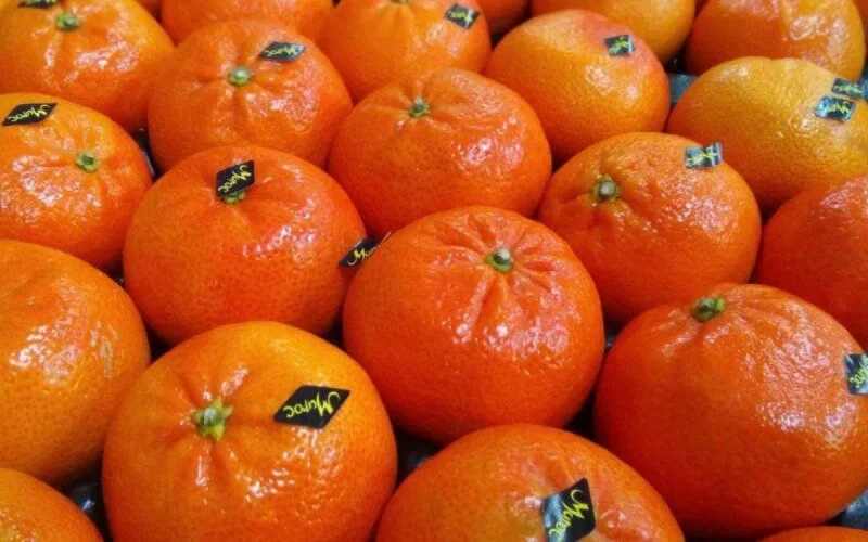 Le Royaume-Uni de plus en plus dépendant des fruits et légumes marocains