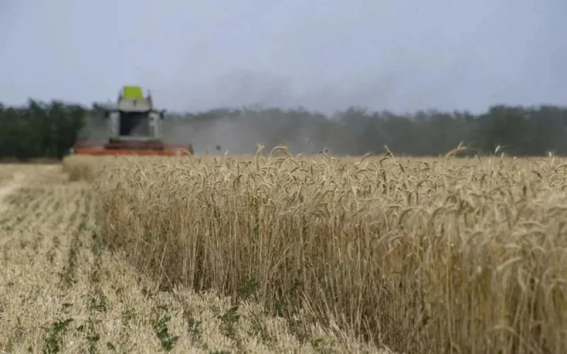 Produits agricoles : la Russie prête à fournir le Maroc