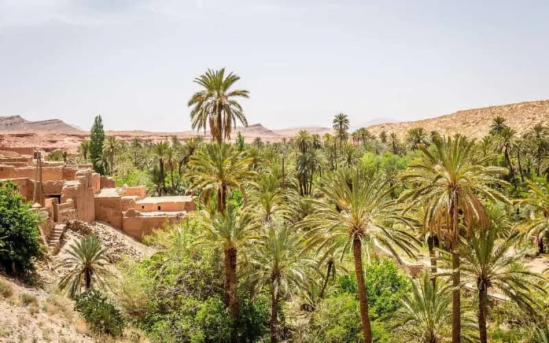 L'armée algérienne menace les agriculteurs marocains