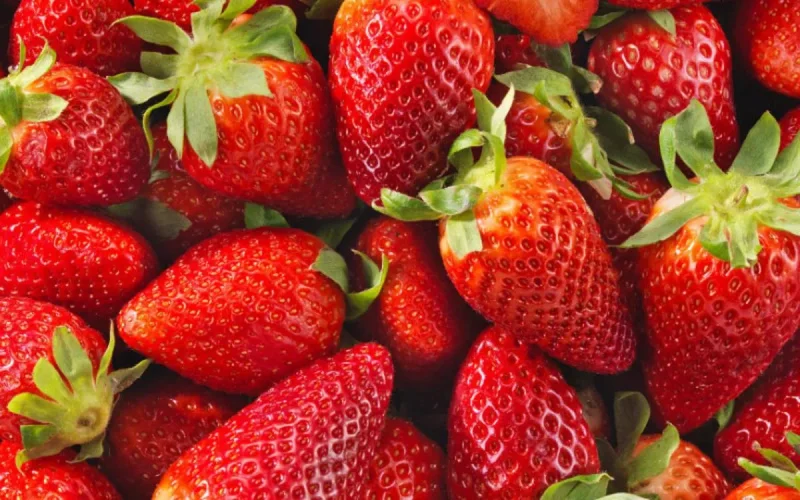 Fraises marocaines : l'hépatite A s'invite au dessert !