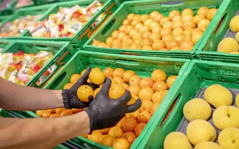 Le Maroc séduit l'Europe avec ses fruits