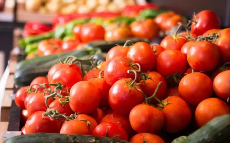 Guerre des tomates : La France et le Maroc trouvent un accord