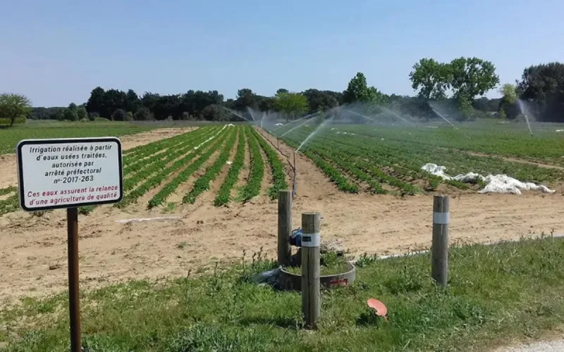 Agriculture : quand la France prend exemple sur le Maroc