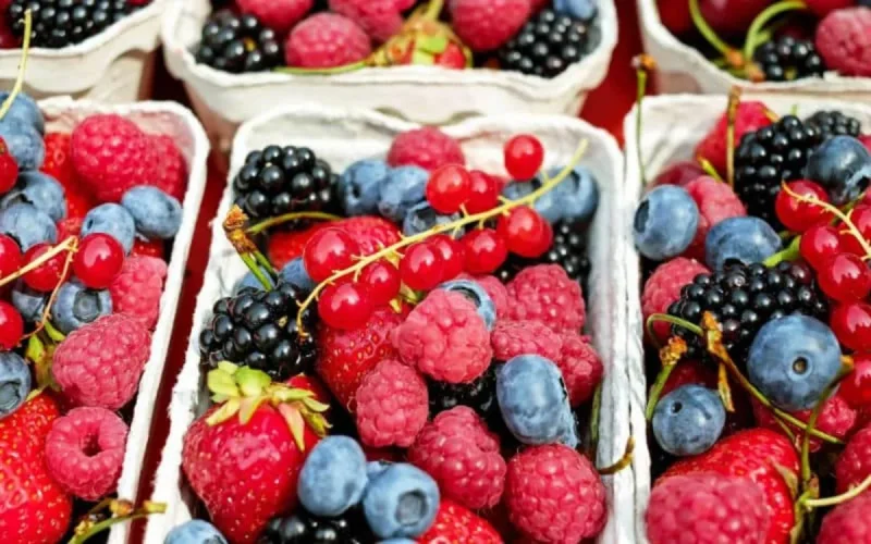 Marché aux fruits rouges : la concurrence marocaine inquiète les agriculteurs espagnols