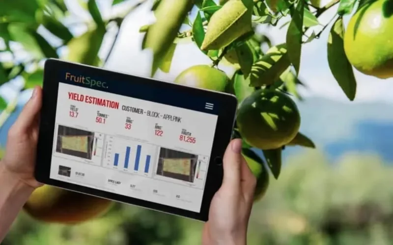 La société israélienne Fruitspec étend ses activités au Maroc