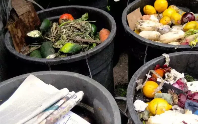 Gaspillage alimentaire : les Marocains battent des records de gâchis