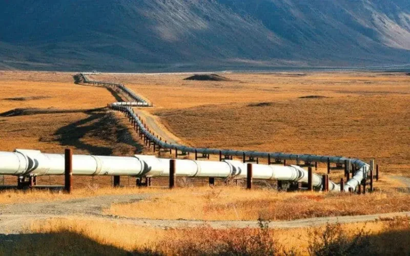 Guerre en Ukraine : l'Algérie va-t-elle réactiver le GME pour fournir du gaz à l'Europe ? 