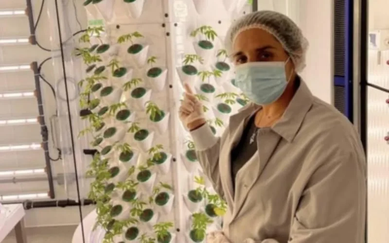 Une MRE veut révolutionner l'agriculture à Dubaï