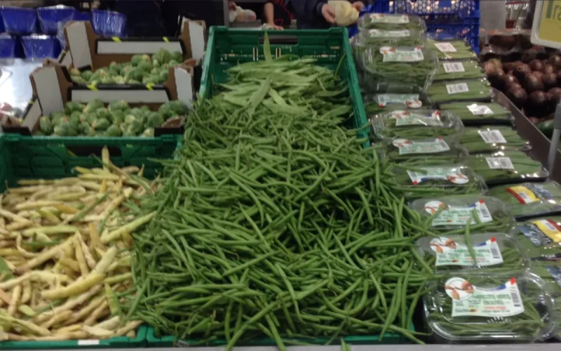 Des haricots verts marocains vendus en Allemagne contenaient 4,5 fois trop de pesticide