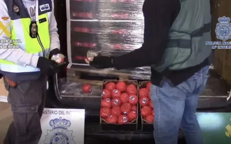 Malaga : saisie de plus de 22 tonnes de haschich marocain dans de fausses tomates