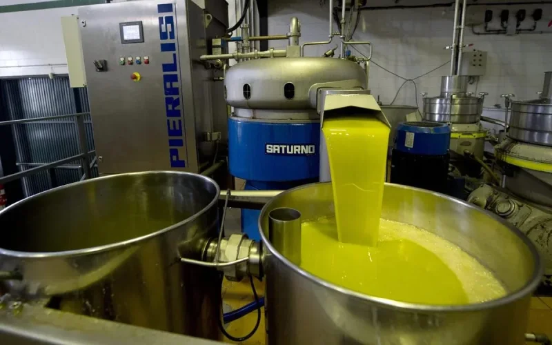 Huile d'olive : un géant espagnol menace de délocaliser la production au Maroc