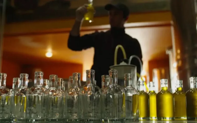 A Marrakech, de l'huile d'olive trafiquée