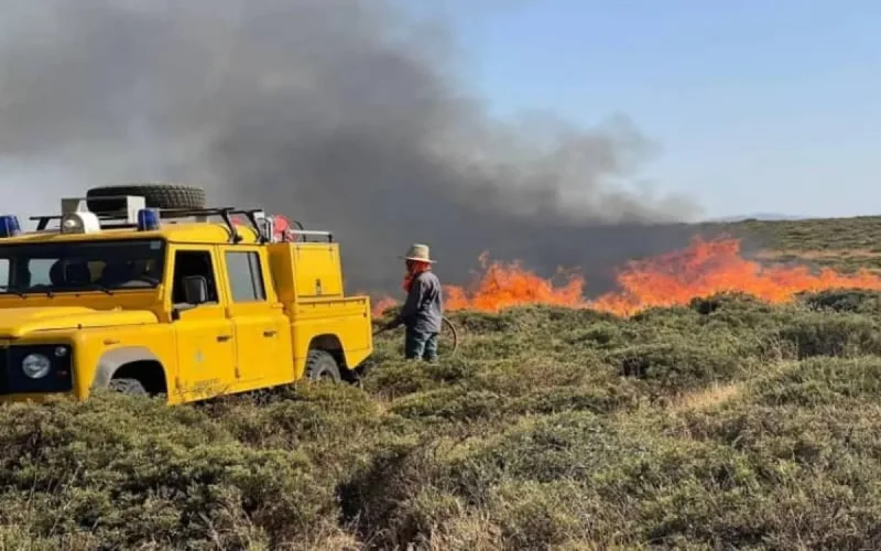 Ifrane : deux individus incarcérés pour leur implication dans les feux de forêt
