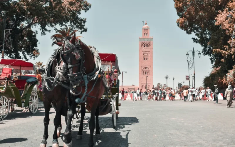 Vente immobilière au Maroc : Les nouveaux coefficients 2026 pour payer moins d'impôts