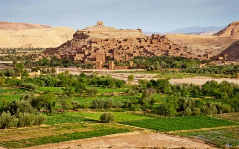 Agriculture : le Maroc compte investir 4,5 MMDH en soutien aux investissements privés en 2021