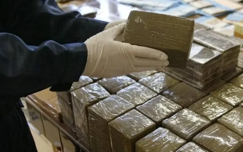 Un réseau de trafic de cannabis marocain démantelé près du Luxembourg, cinq personnes arrêtées