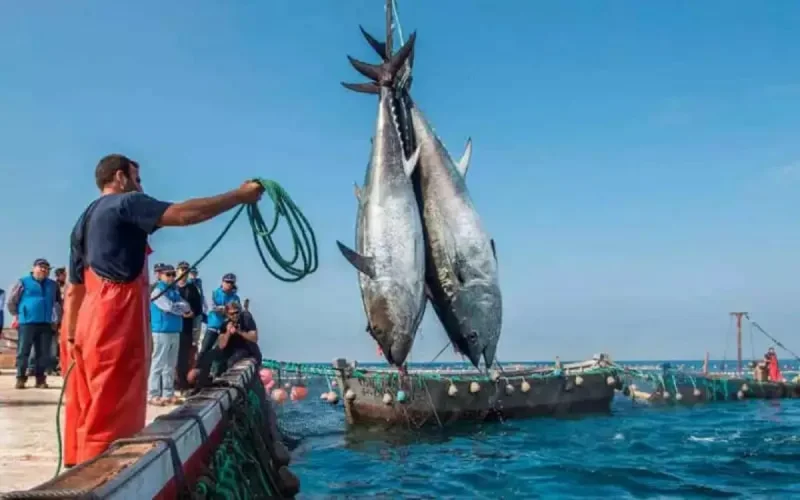 Après la rupture avec l'UE, le Maroc signe un accord de pêche avec la Russie
