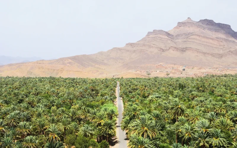 Le Maroc et l'Algérie manquent d'eau, mais pas du tout de la même manière