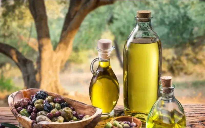 L'huile d'olive marocaine cherche sa place parmi les meilleures du monde
