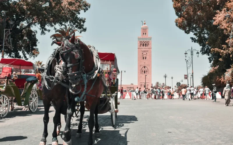 Le Maroc, refuge préféré des criminels français