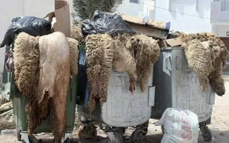 Déchets de l'Aïd al-Adha : un casse-tête pour les villes marocaines