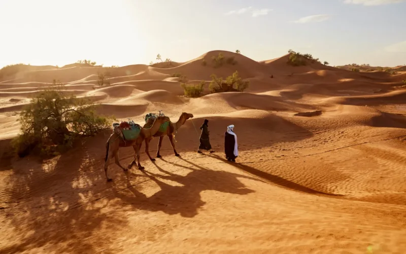 Ces aventuriers qui dépensent 3000 euros pour « se perdre » au Maroc