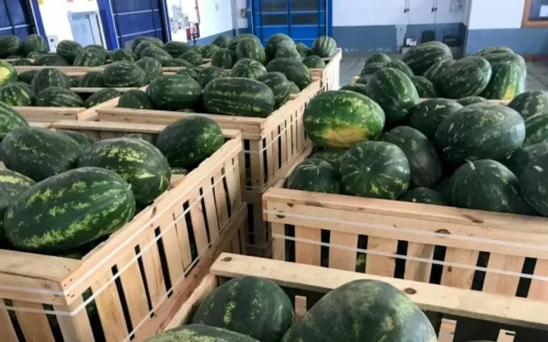 Pastèques : l'Espagne sourit, le Maroc pleure