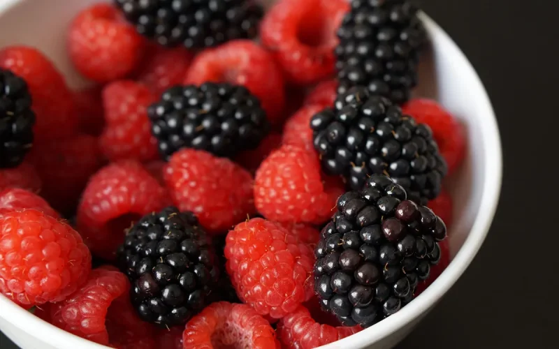 Même la Norvège achète désormais au Maroc plus de la moitié de ses framboises et mûres importées