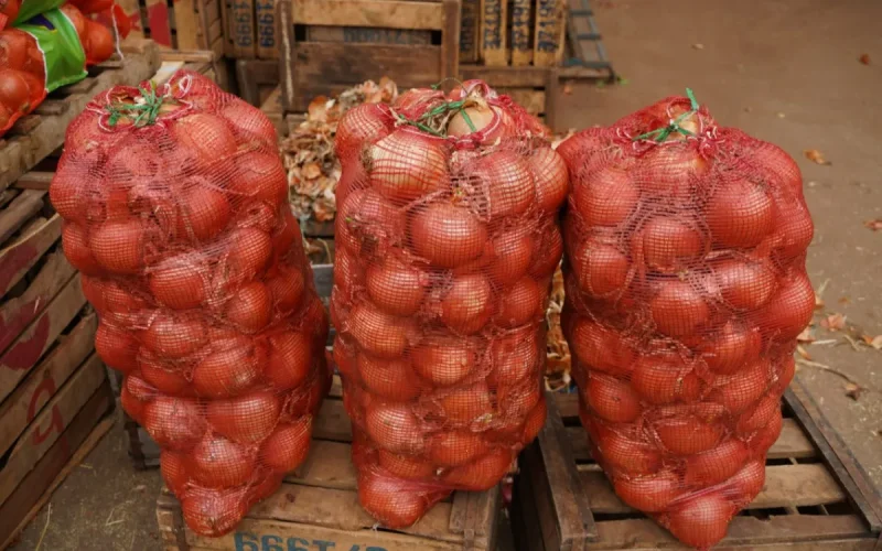 Le Maroc vendait ses oignons en Afrique, il en achète maintenant en Europe
