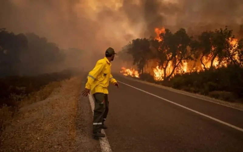 Les incendies au Maroc ont produit des émissions de CO₂ record en juin-juillet