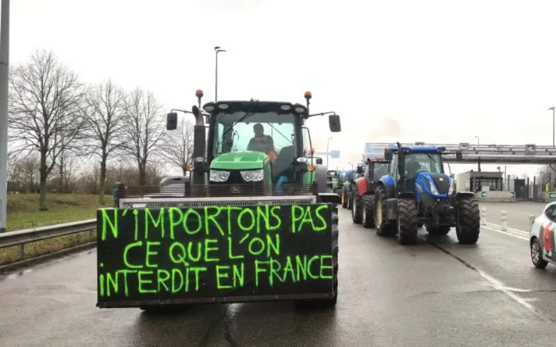 Agriculteurs français : "Au lieu de vous opposer, venez investir au Maroc !"