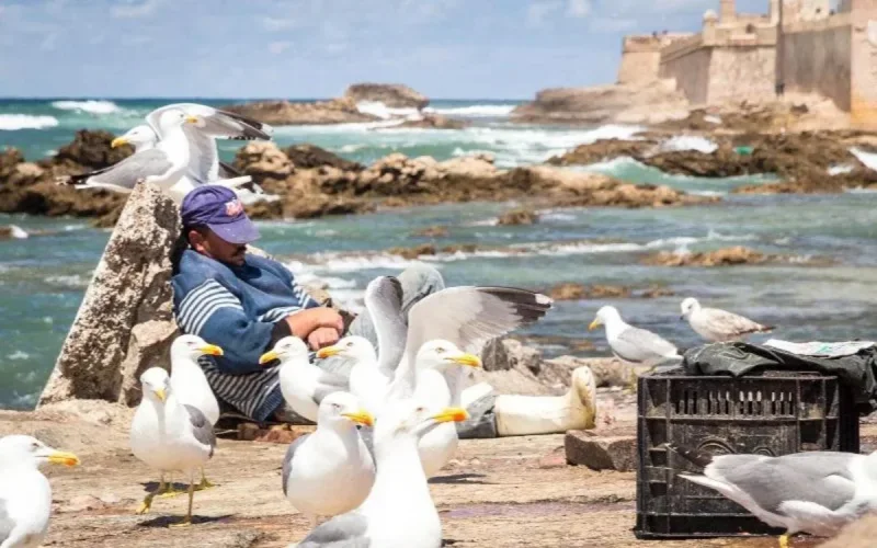 Maroc : attention, changement d'heure cette nuit