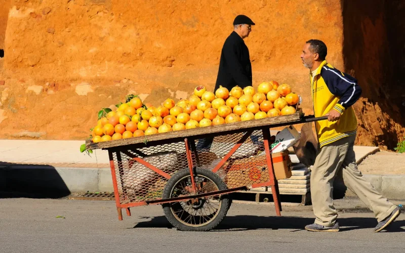 Maroc : les légumes chutent, le poisson flambe