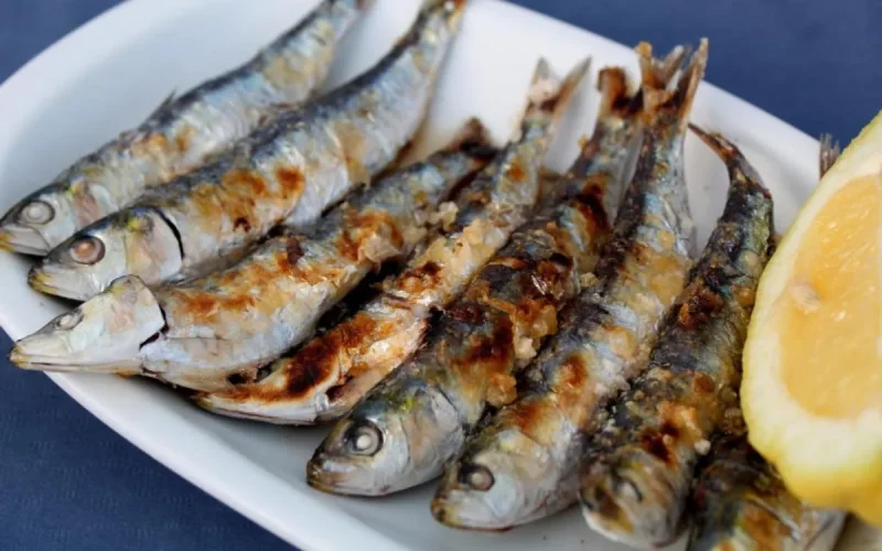 La sardine, un poisson devenu hors de prix au Maroc