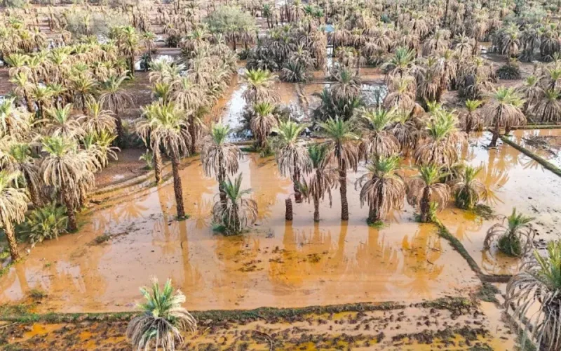 Maroc : plusieurs villes sous l'eau