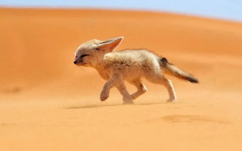 Une nouvelle semaine caniculaire s'annonce au Maroc 