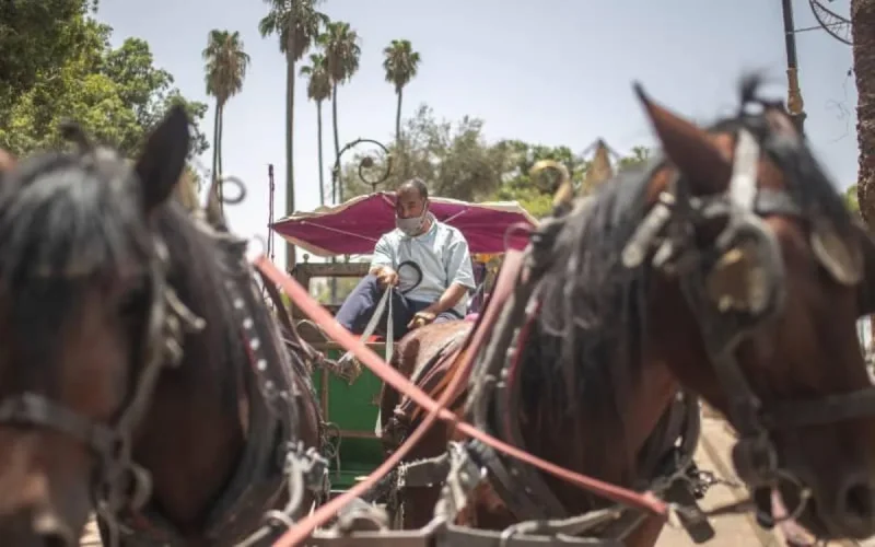 Tourisme au Maroc : comment sortir de la crise ?