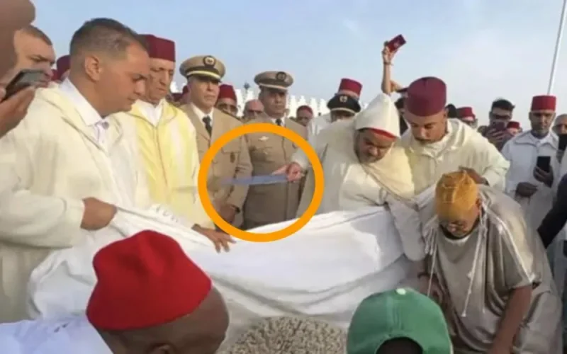 Maroc : deux walis écartés pour avoir ignoré l'appel du roi Mohammed VI ? 