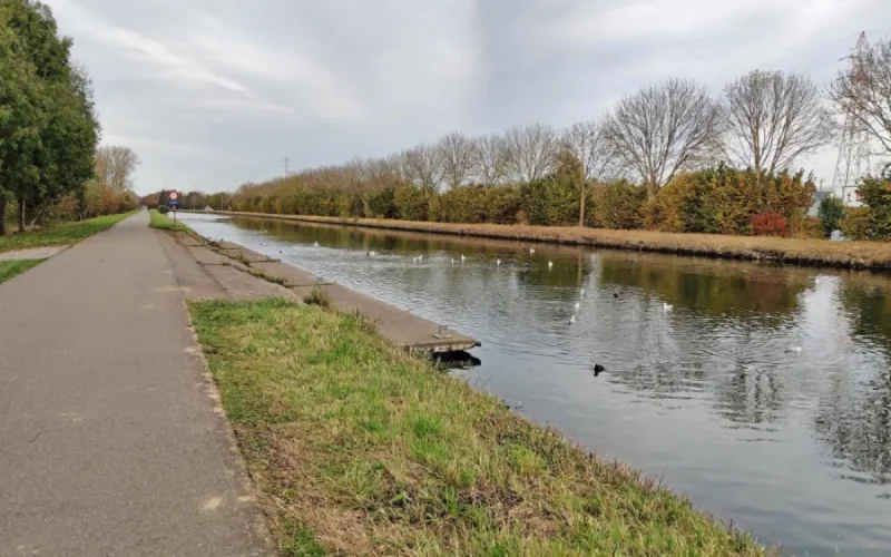 Belgique : une Marocain meurt noyé en tentant de sauver sa fille 