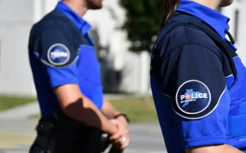 Genève : un MRE devant la justice pour avoir « enlevé » son fils au Maroc