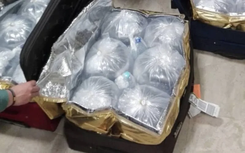 Espagne : un Marocain devra payer 7,2 millions d'euros pour trafic d'anguilles