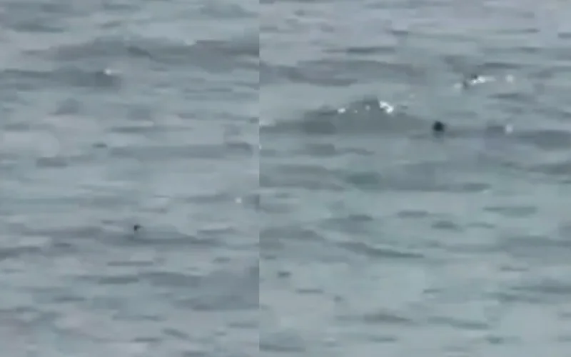 Maroc : le rêve de Ceuta s'achève dans les eaux de Fnideq