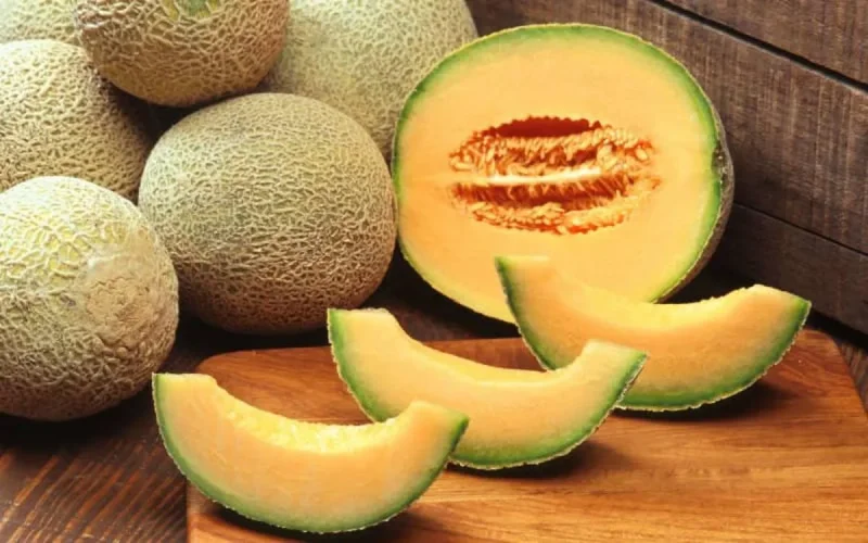 Le melon charentais marocain ne plait pas aux producteurs français