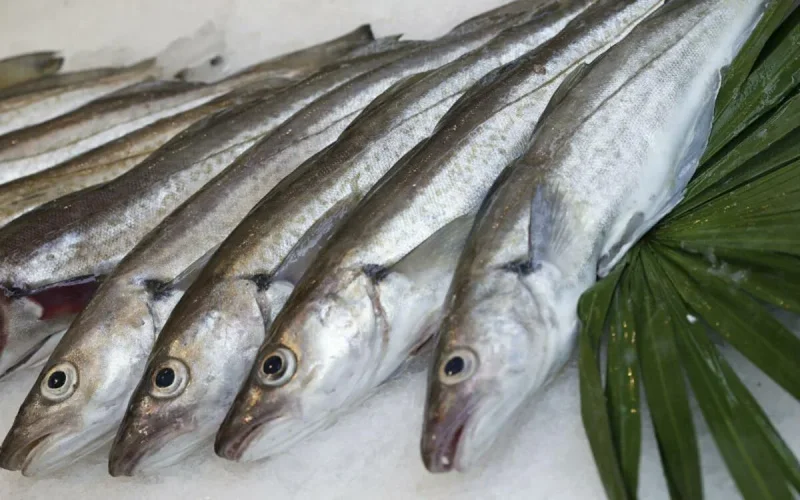 L'Espagne ordonne le retrait du marché de poisson marocain
